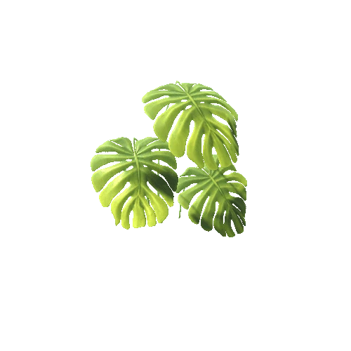 BreadFruitPlant_02_Mesh