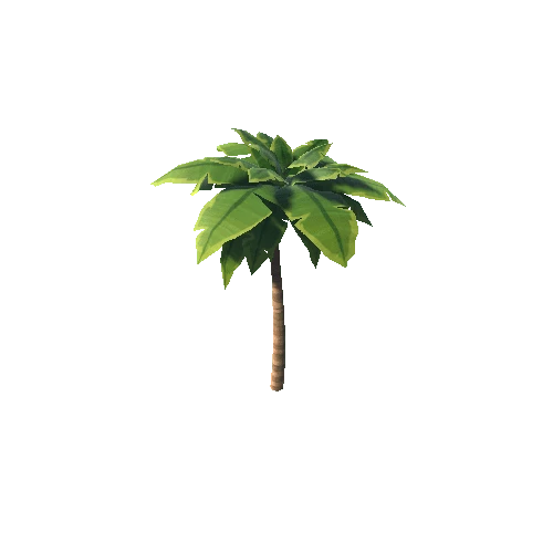 PalmTree_01_Mesh