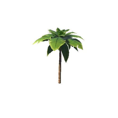 PalmTree_02_Mesh