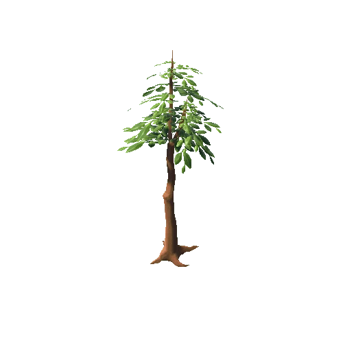 SmallTree_Mesh