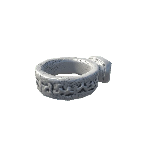 Ring02_SILVER