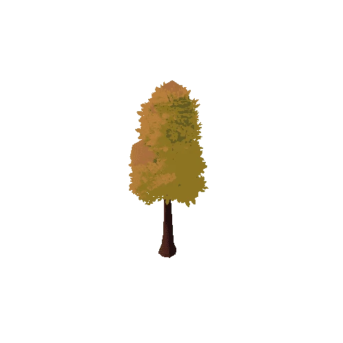 Tree_1