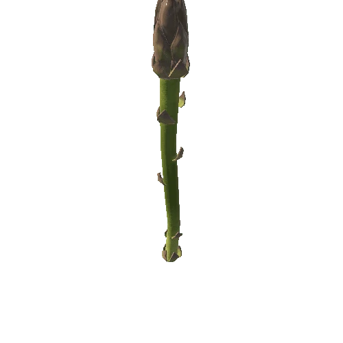 Asparagus