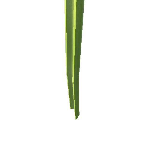 Celery