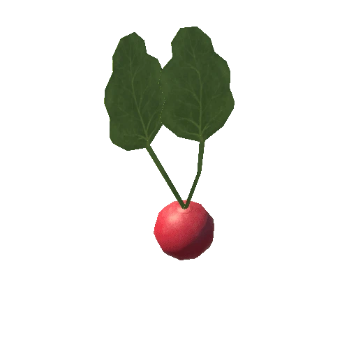 Radish