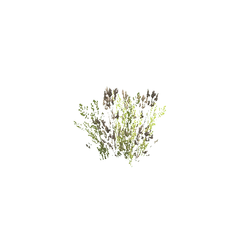 foliage2_LOD1