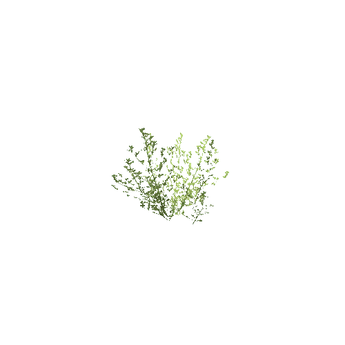 foliage3_LOD1