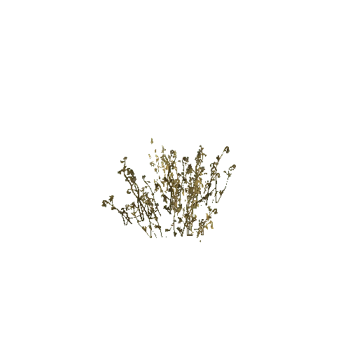 foliage5_LOD1