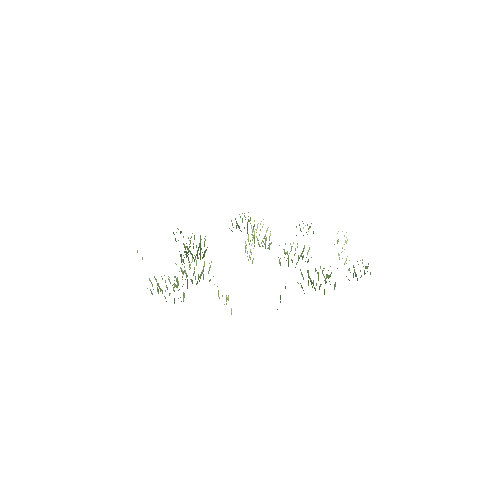 grass4_LOD1