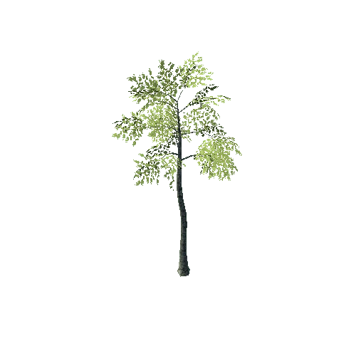 tree14_LOD1