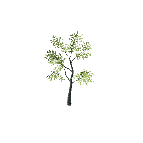 tree15_LOD1