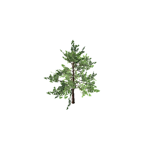 tree1_LOD1