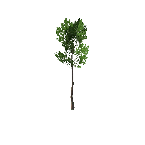 tree21_LOD1