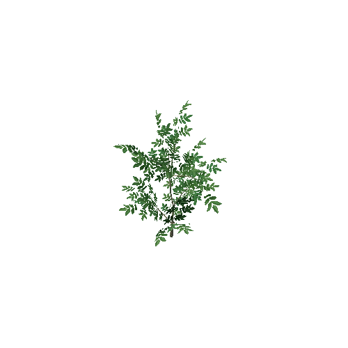 tree23_LOD1