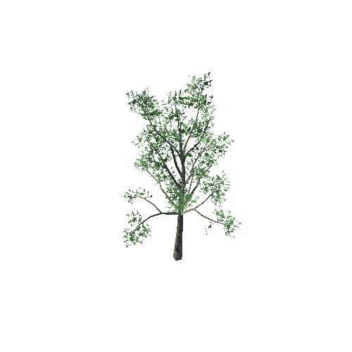 tree2_LOD1