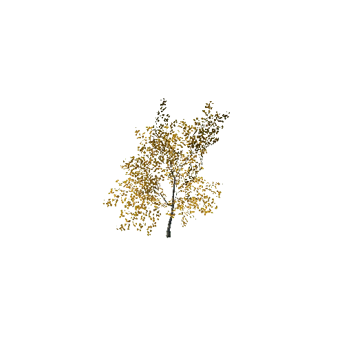 tree7_LOD1