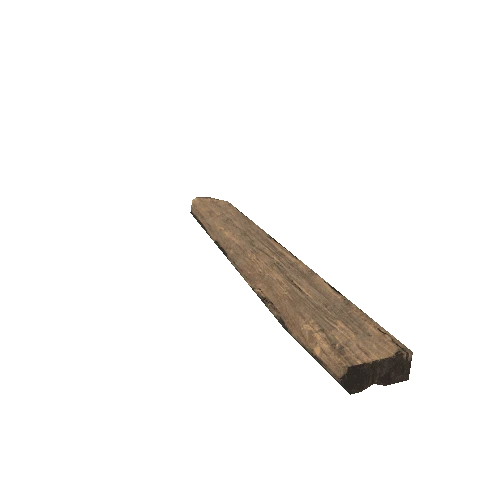 Plank_05