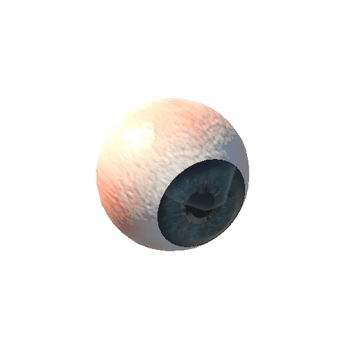 Eyeball