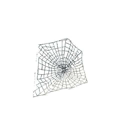 SpiderWeb02_S