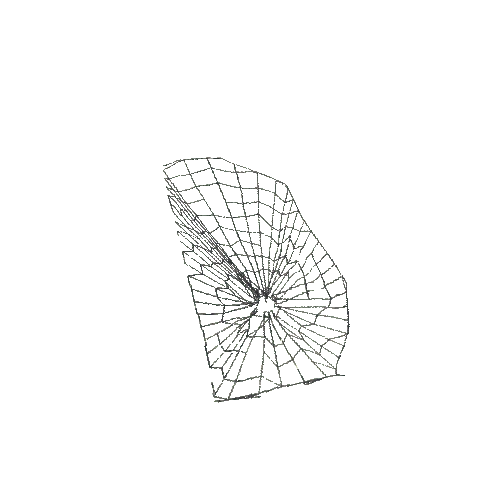 SpiderWeb03_S