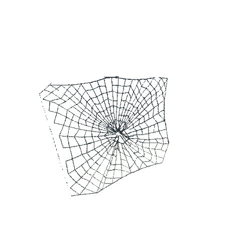 SpiderWeb04_S