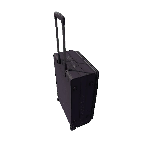 Luggage_10_Purple