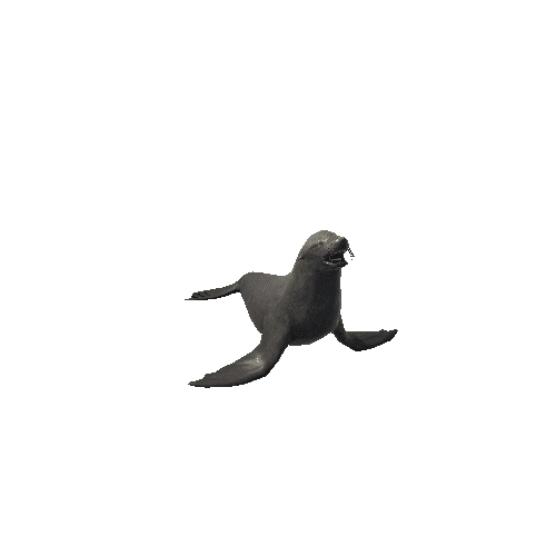 BB_Sea_Lion_SV_RM_LP_mat1