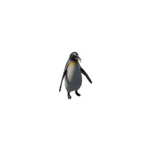 Penguin_IP_SV_LP