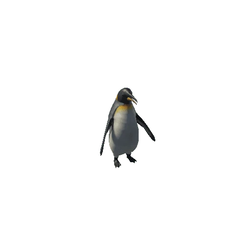 Penguin_IP_SV_SHP