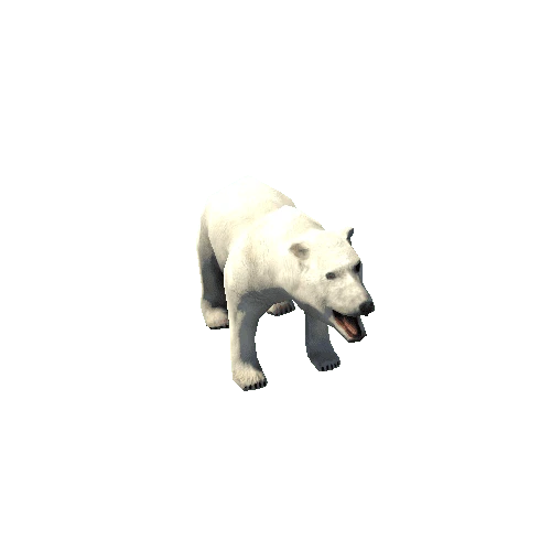 Polar_Bear_SV_RM_SLP_FUR