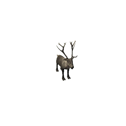 Reindeer_IP_FV_SLP