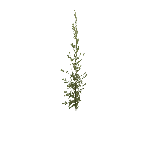 Herb-Artemisia3-Occlusion