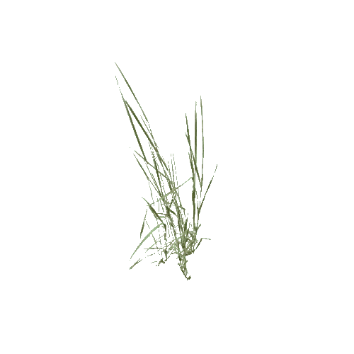 Herb-GrassBlades2-Occlusion