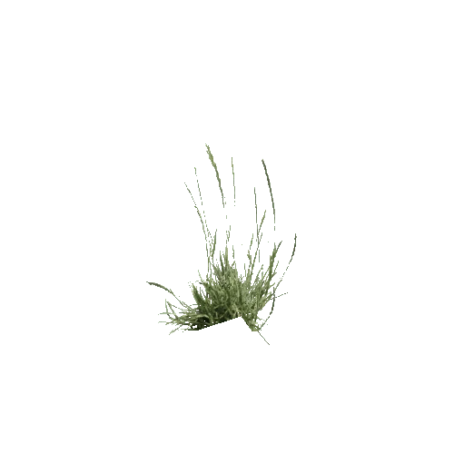 Herb-GrassSeeder4-Occlusion