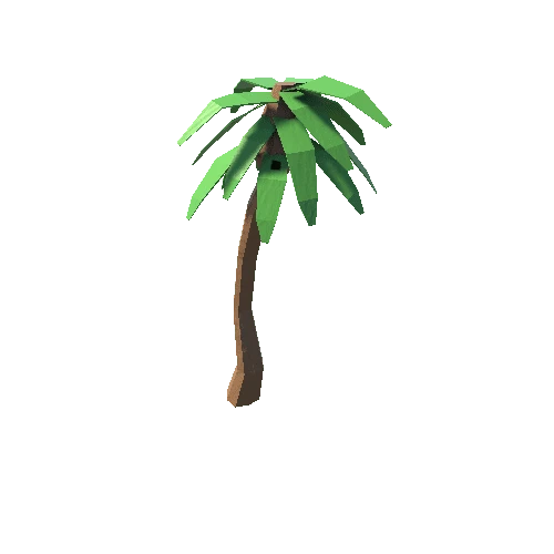 Palm