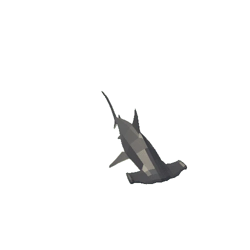 HammerHeadShark