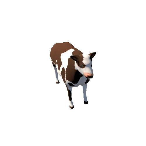 Cow_2