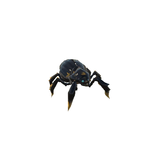 Beetle_Normal