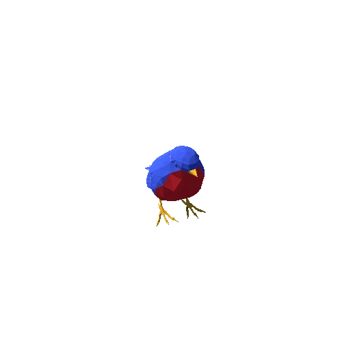 Bird