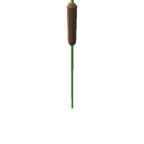 bulrush_01