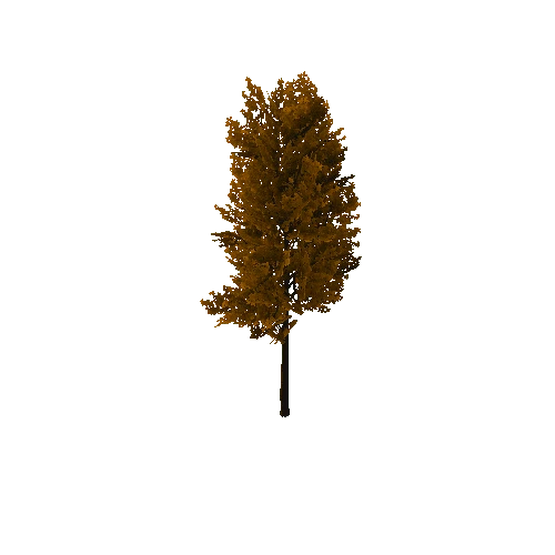 autumn_TreeOak01