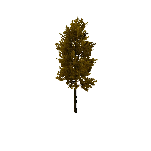 autumn_TreeOak02