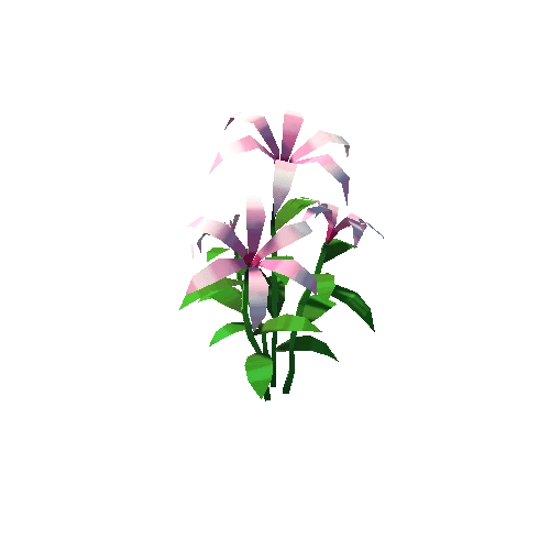 um_flower001