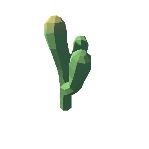 Cactus_02