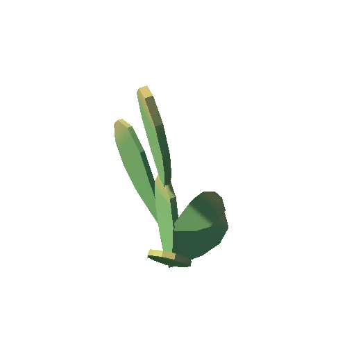 Cactus_05