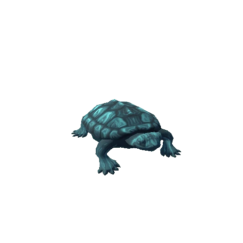 Turtle_10