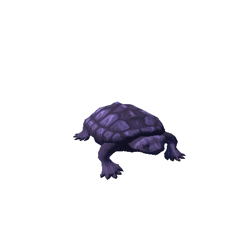 Turtle_2