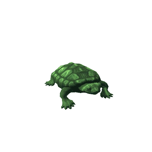 Turtle_7