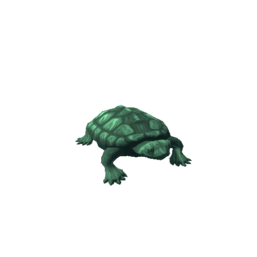 Turtle_8