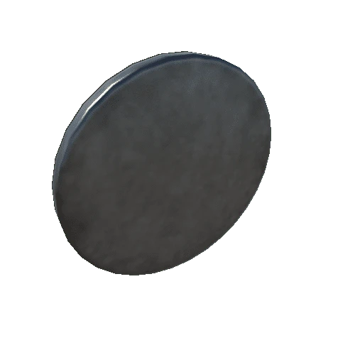 Pref_simple_silver_coin_1